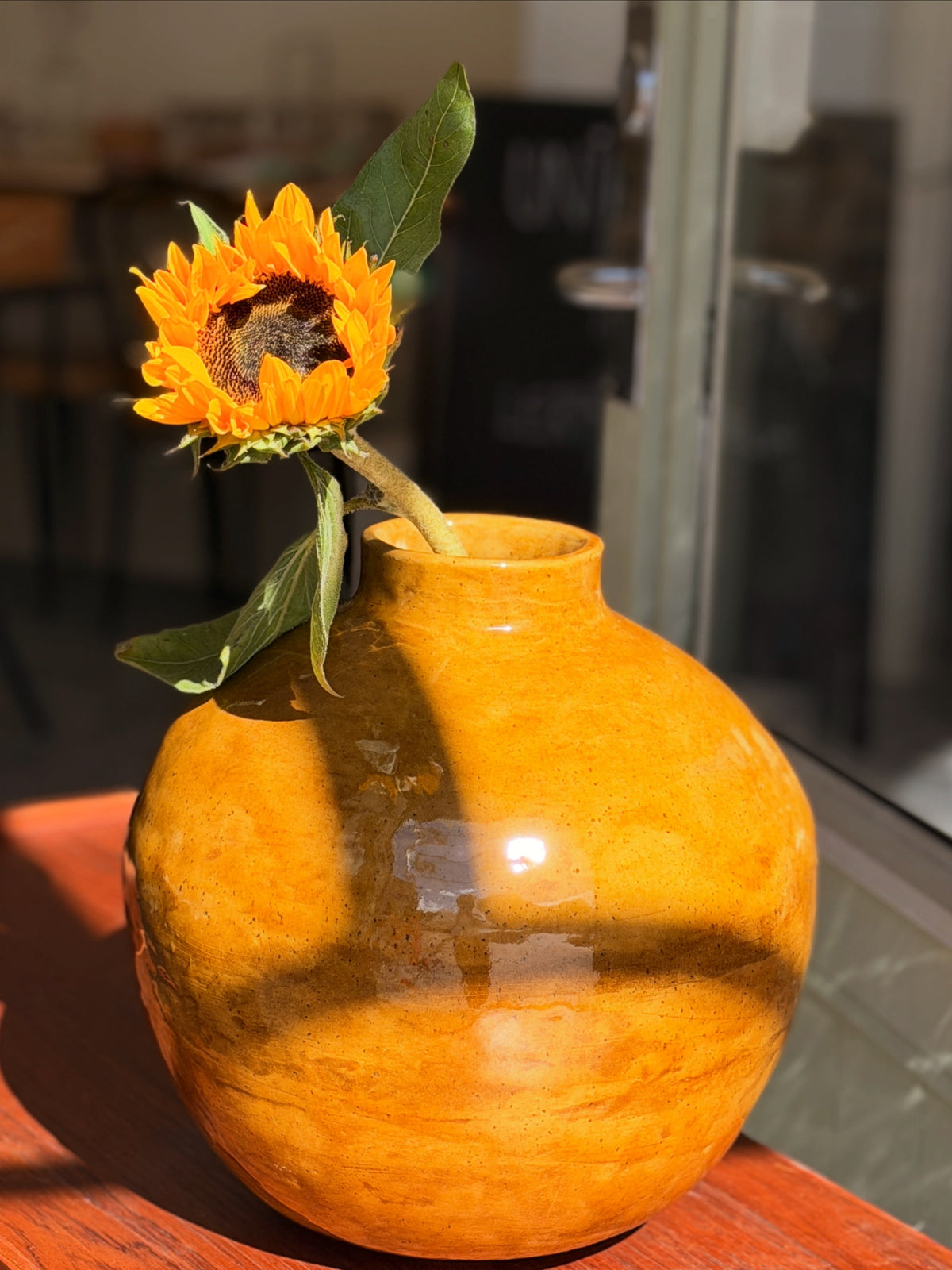 moon jar in sun
