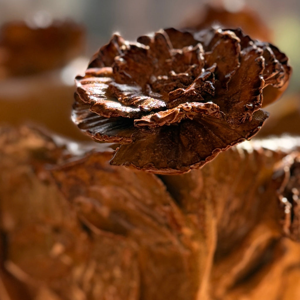 A small sculptural ceramic pot with a textured, organic, leaf-like form in earthy brown and terracotta tones, shown on a wooden surface with a blurred window background.