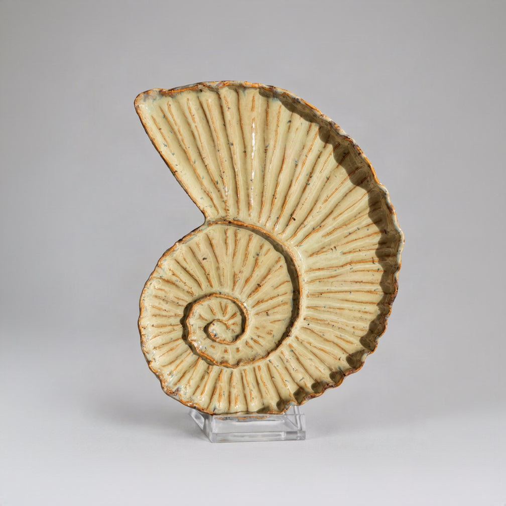 A ceramic decorative replica of a nautilus shell on a clear acrylic display stand, set on a light-colored wooden table in warm natural sunlight.