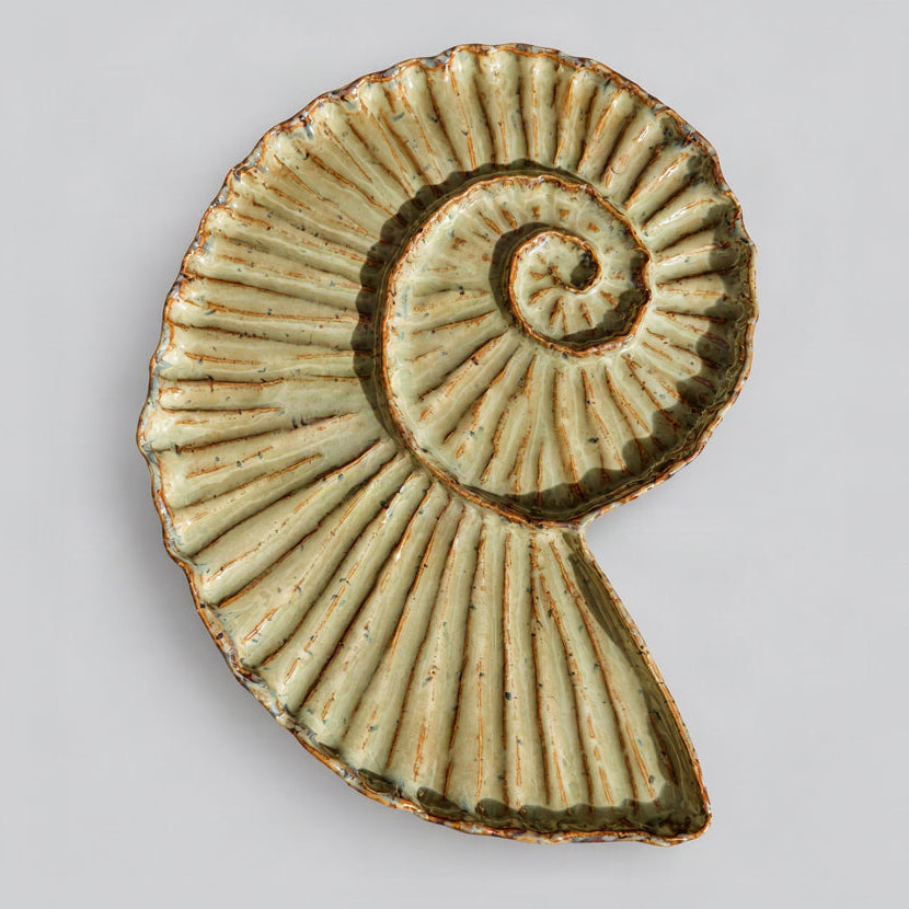 Ammonit – Unika keramikfad